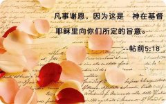 享受活水的泉源