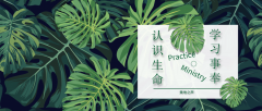 认识生命和教会，操练作事并作工
