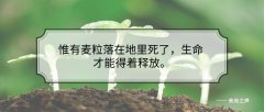 主的受限制